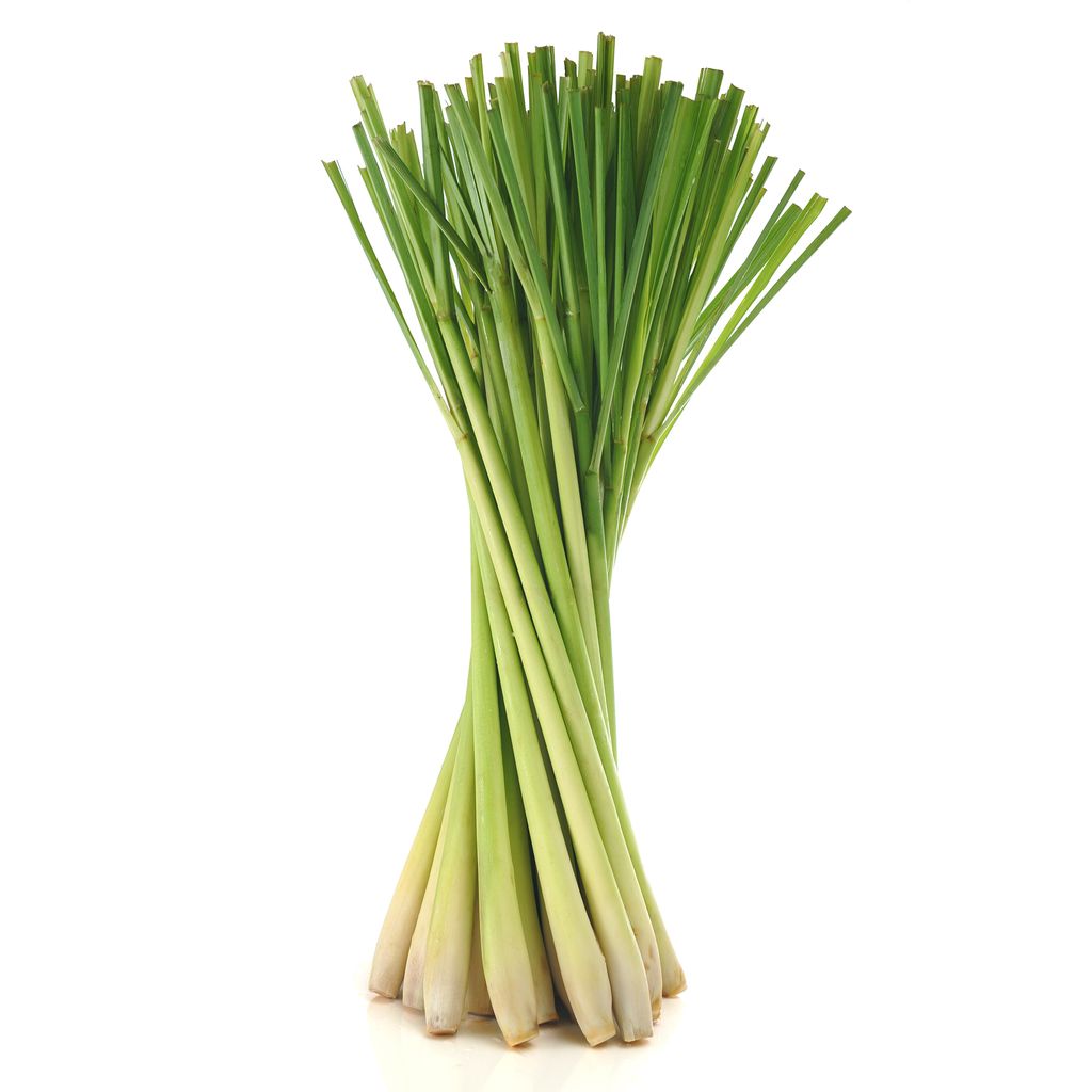 Lemongrass