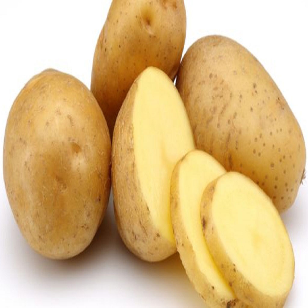 Potato