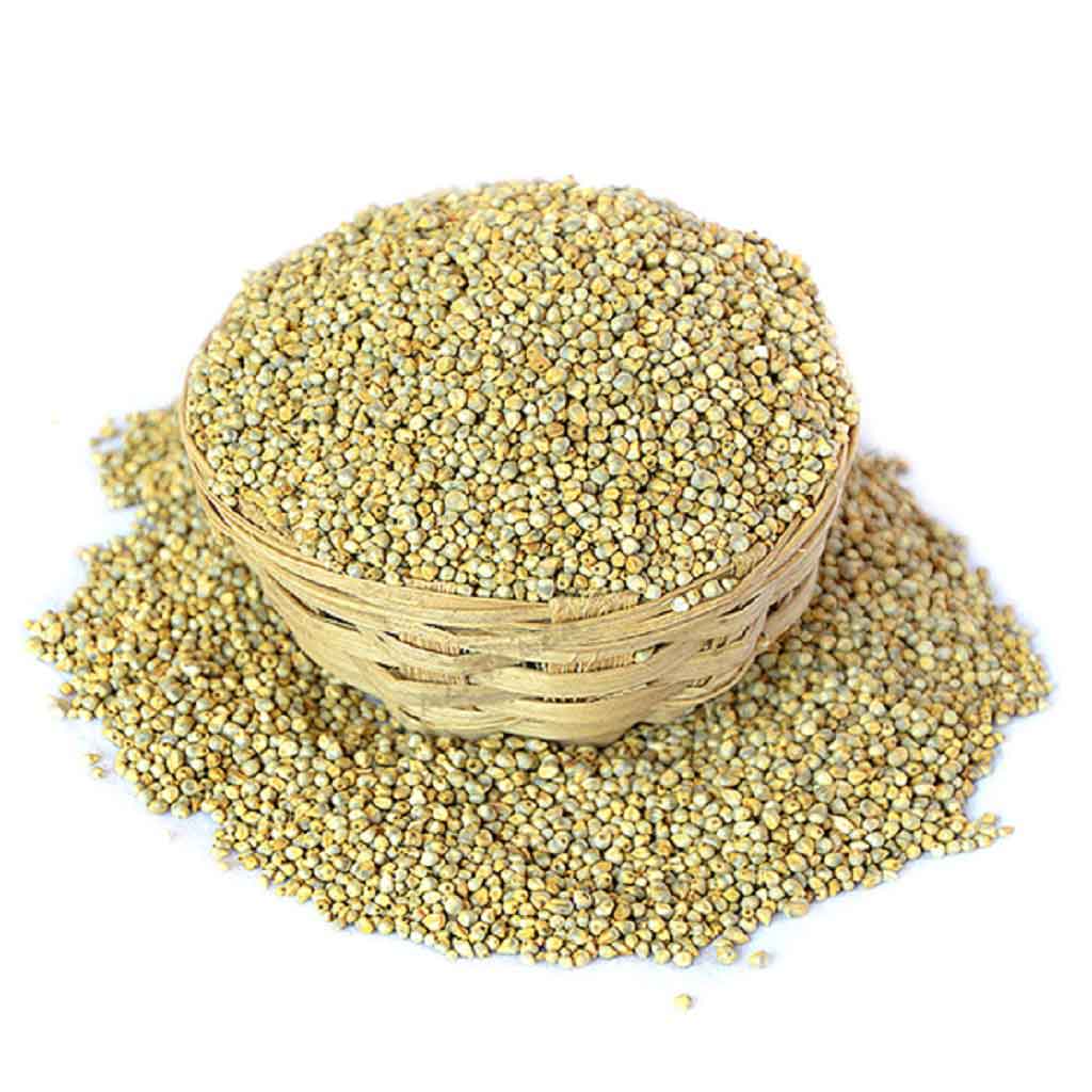 Bajri (Pearl Millet)