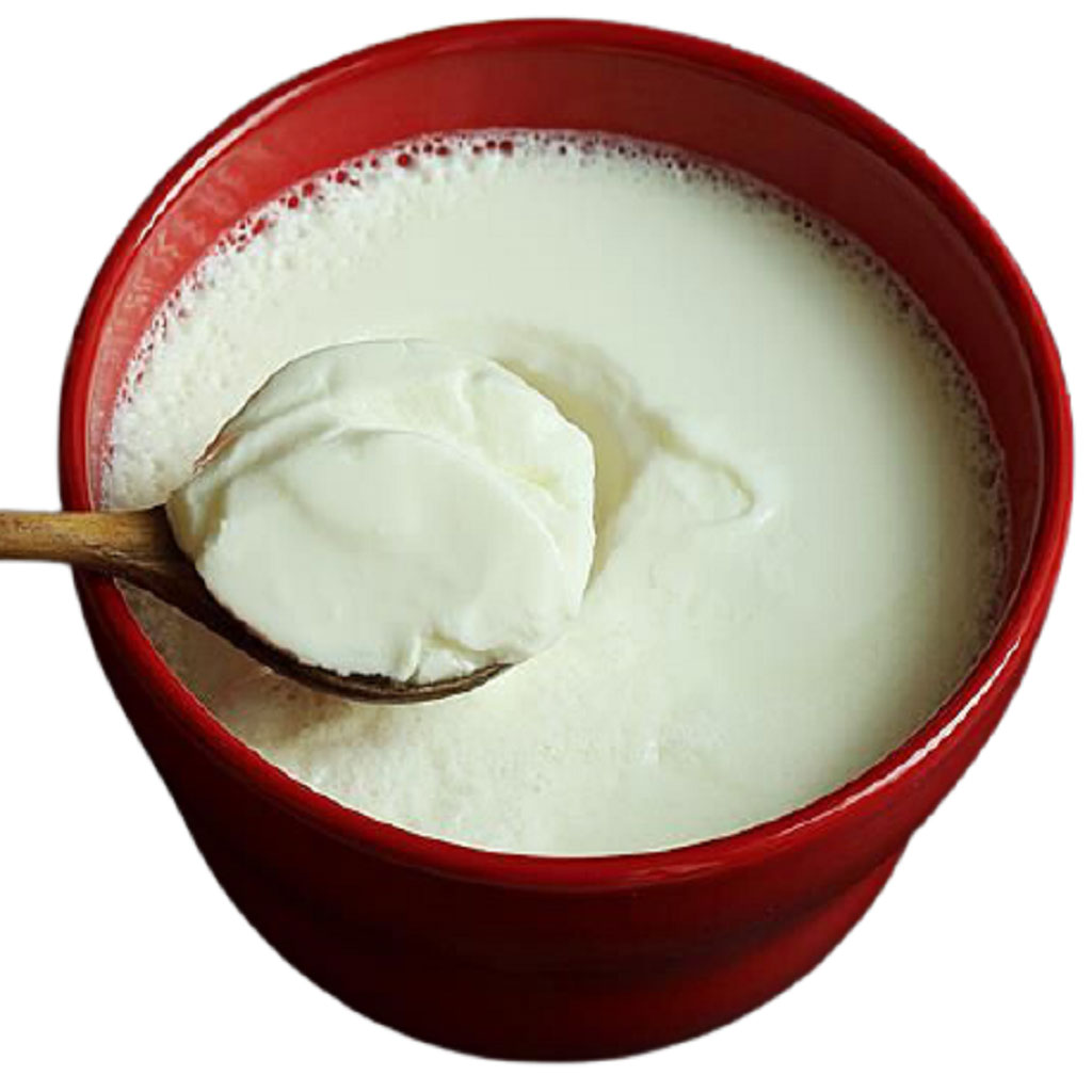 Malai Curd