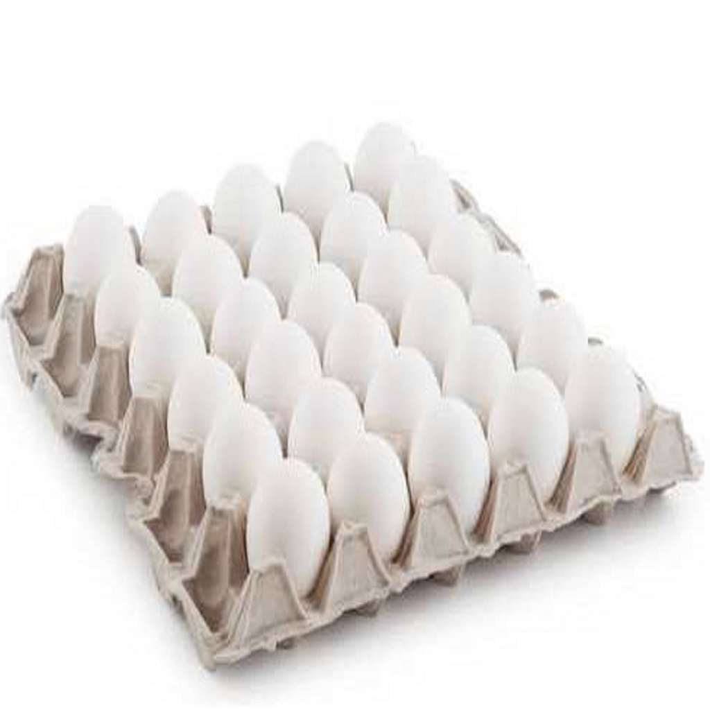 Egg Tray