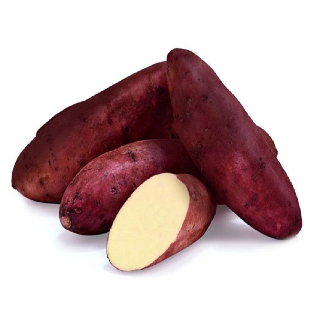 Sweet Potato