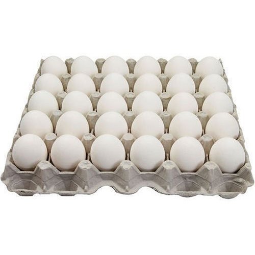 Egg Tray